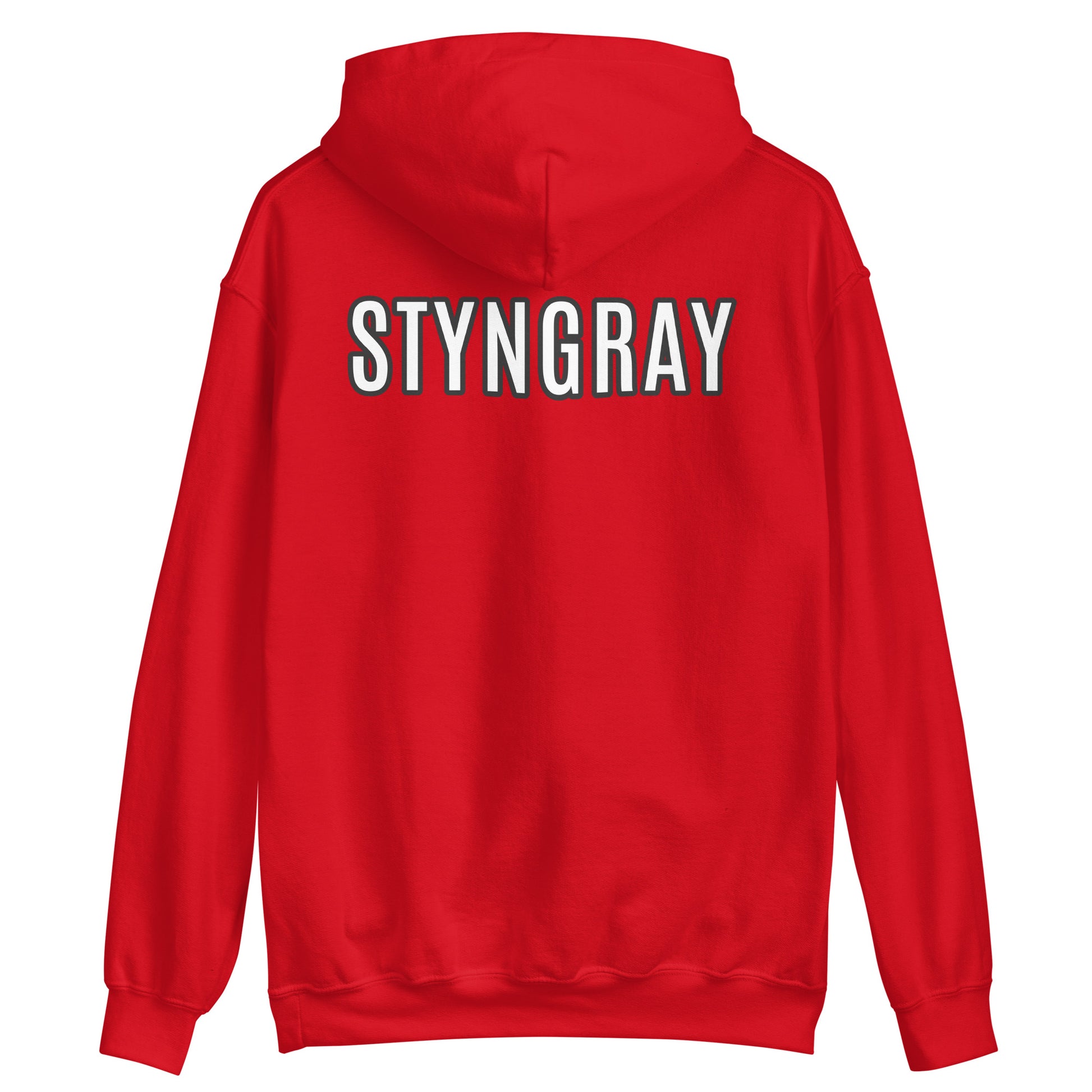 First Kings Ent / Styngray Hoodie 2
