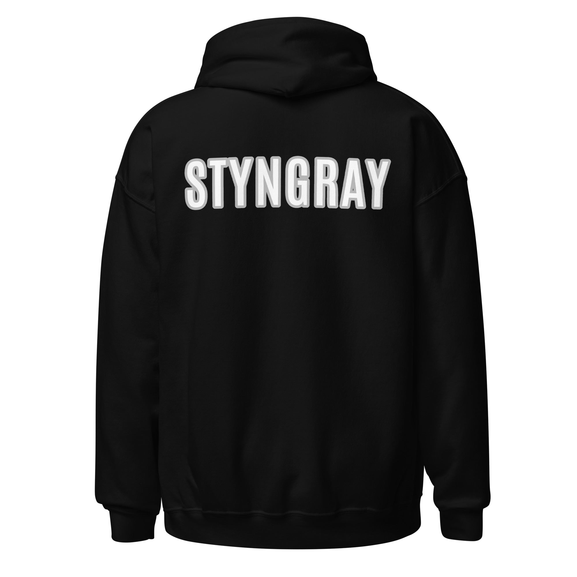 First Kings Ent / Styngray Hoodie 2